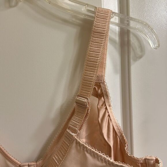 Elomi Cate Full Cup Banded Bra EL4030 Latte NEW Size 40I Underwire - Picture 14 of 14